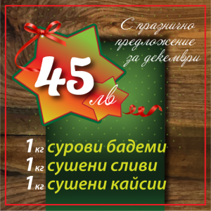 promo_dec_2016-3