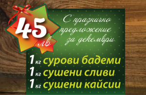 promo_dec_2016-6